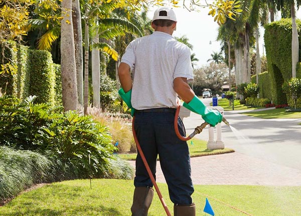 About Kenna NM Pest Control